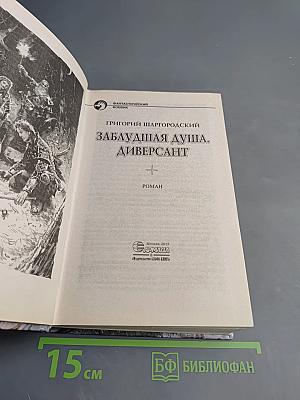 Заблудшая душа. Диверсант