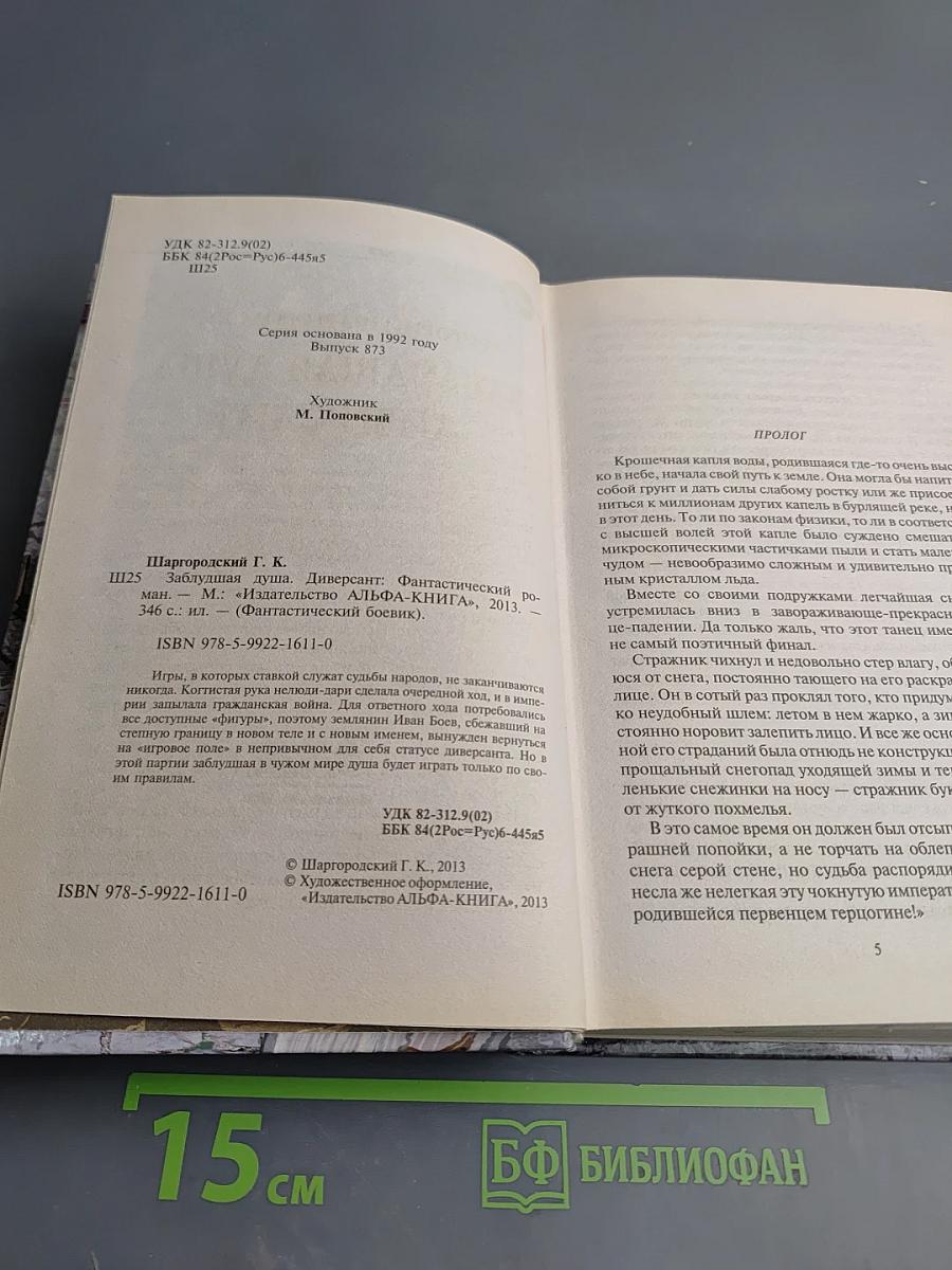 Заблудшая душа. Диверсант