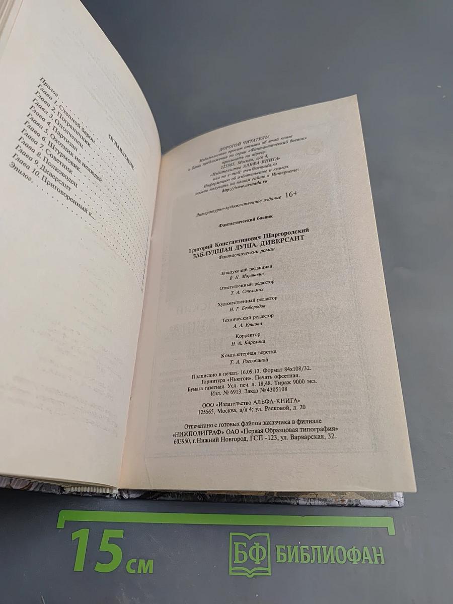 Заблудшая душа. Диверсант