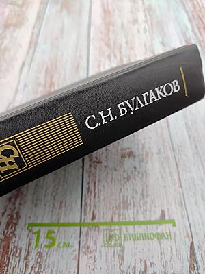 Труды по социологии и теологии. Том 2. Статьи и работы разных лет 1902 - 1942