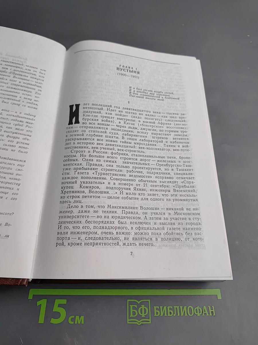 Странствие Максимилиана Волошина