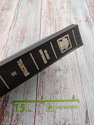Биография Л. Н. Толстого. Книга II