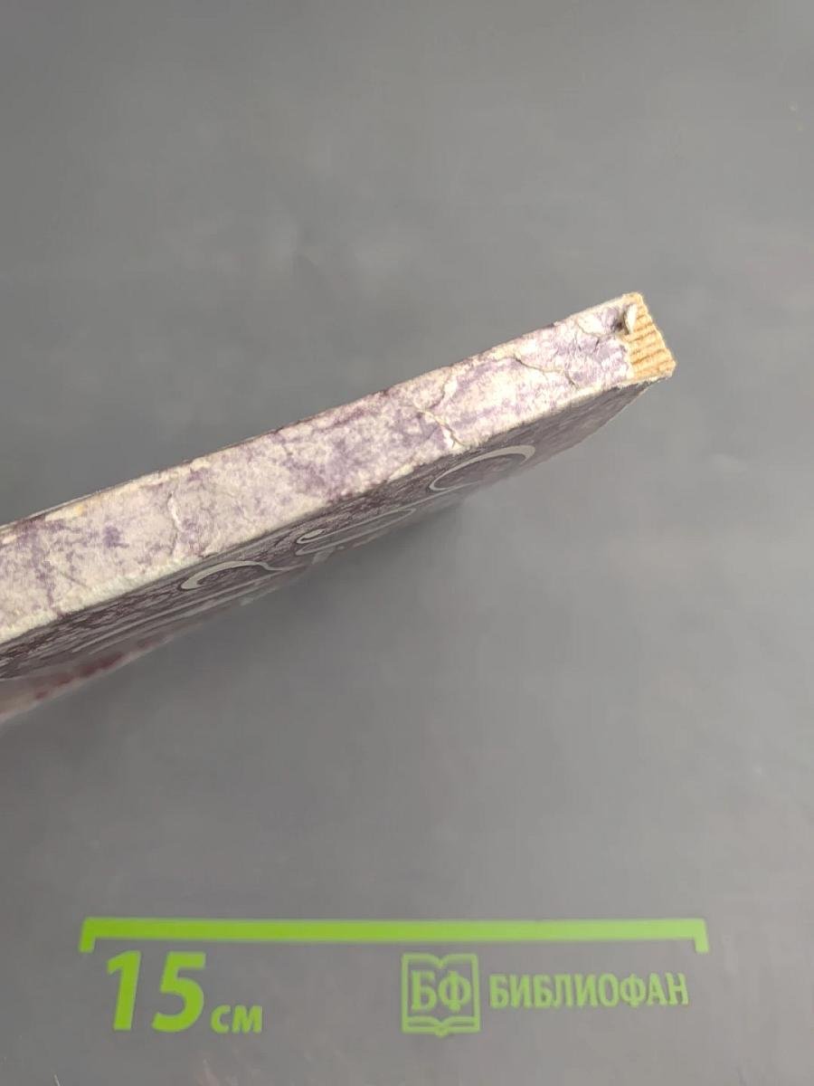 Повести Белкина. Дубровский. Капитанская дочка