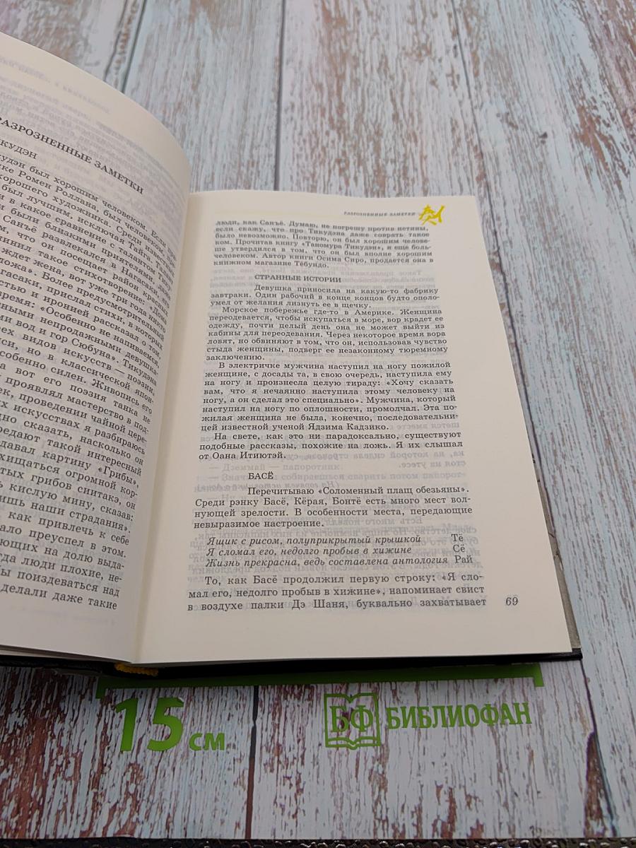 Философия жизни. Эссе. Миниатюры. Статьи. Письма. Том 4