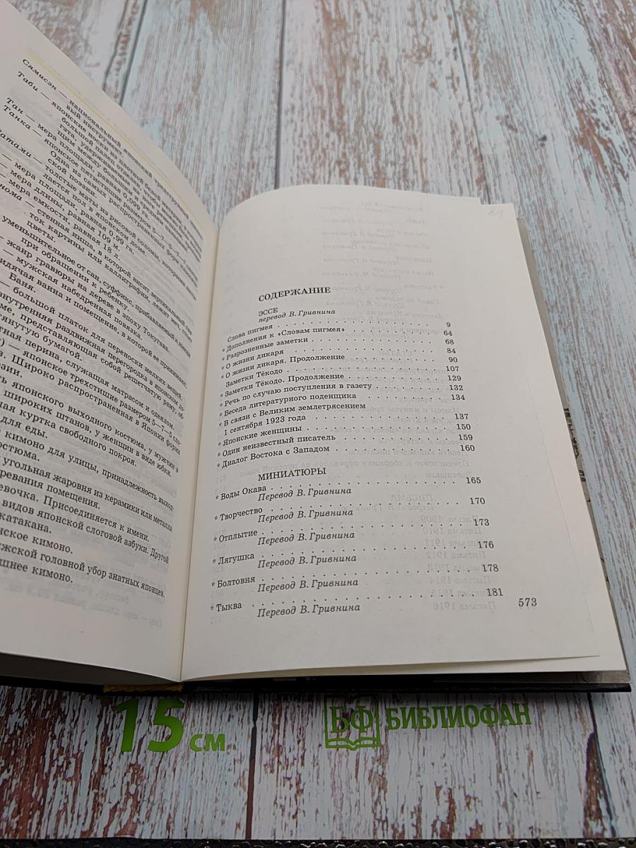 Философия жизни. Эссе. Миниатюры. Статьи. Письма. Том 4