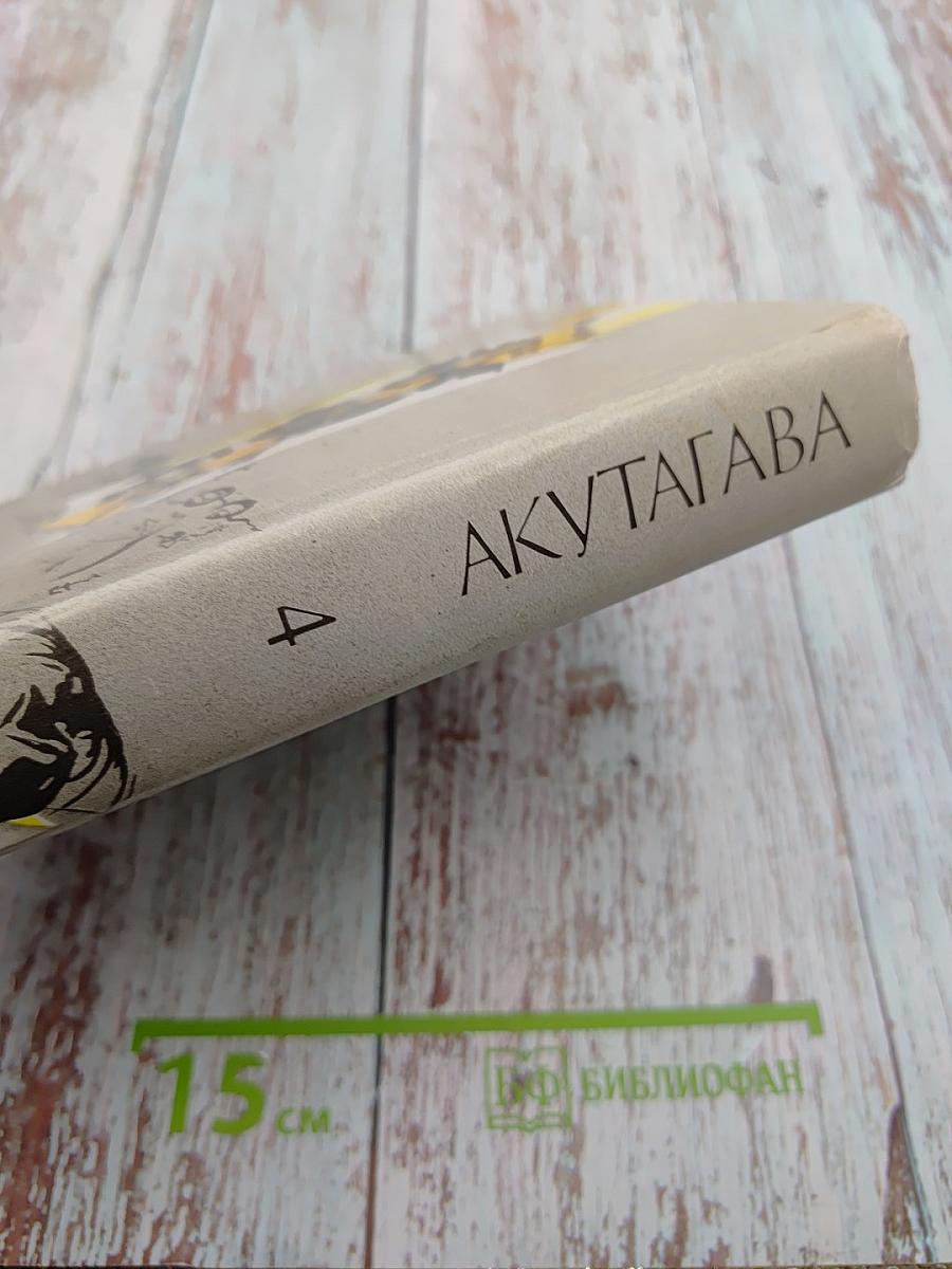 Философия жизни. Эссе. Миниатюры. Статьи. Письма. Том 4