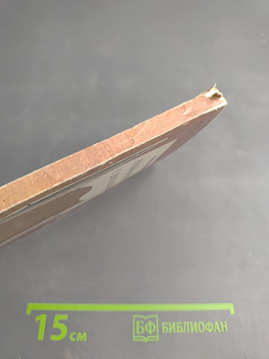 Годы близости с Достоевским