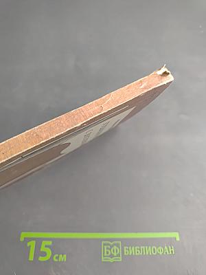 Годы близости с Достоевским