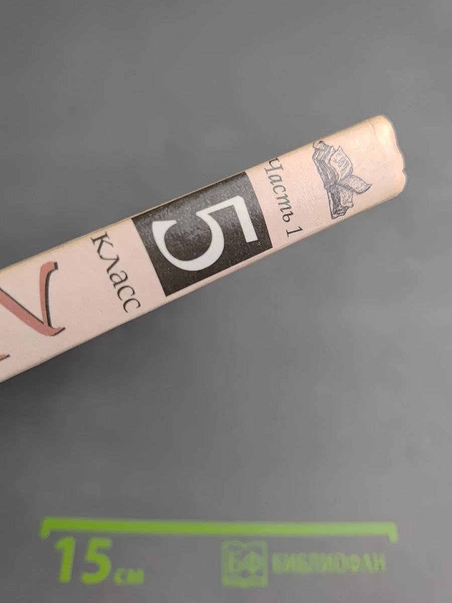 Литература. 5 класс. Учебник-хрестоматия. Часть 1