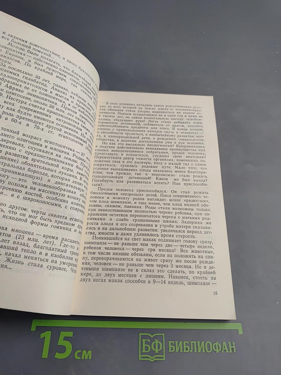 Занимательная приматология