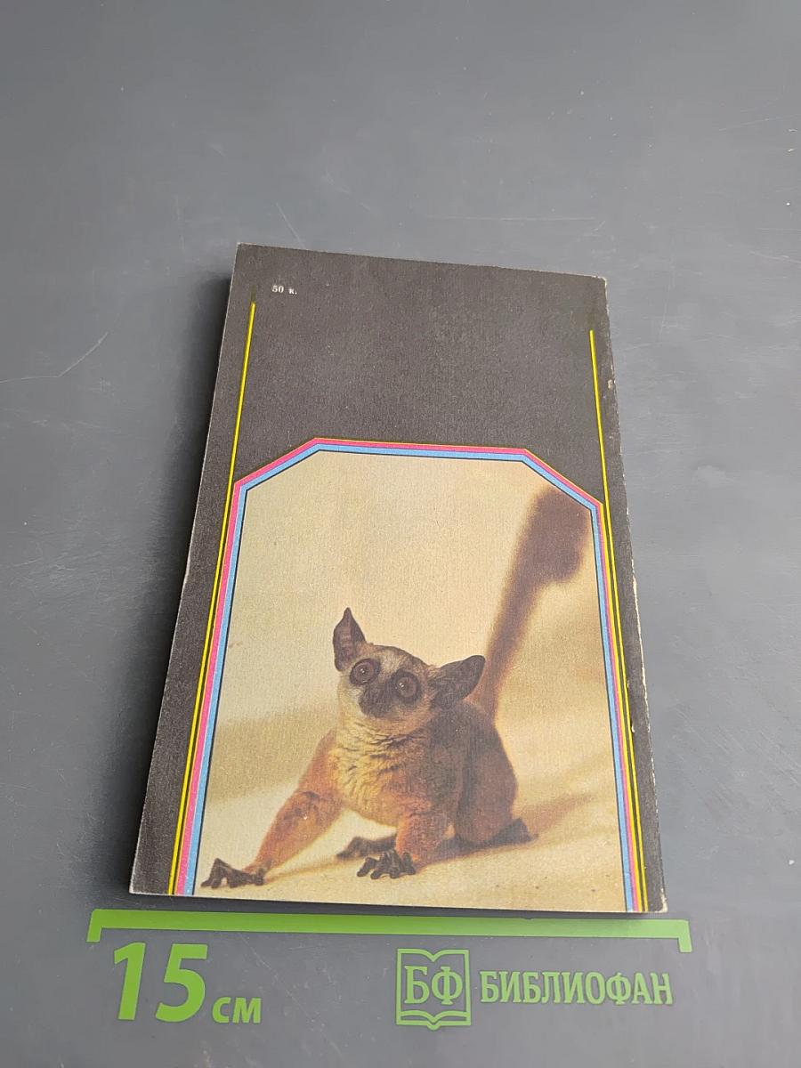 Занимательная приматология