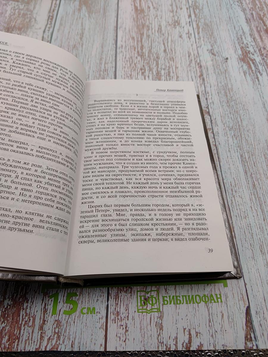 Петер Каменцинд. Игра в бисер