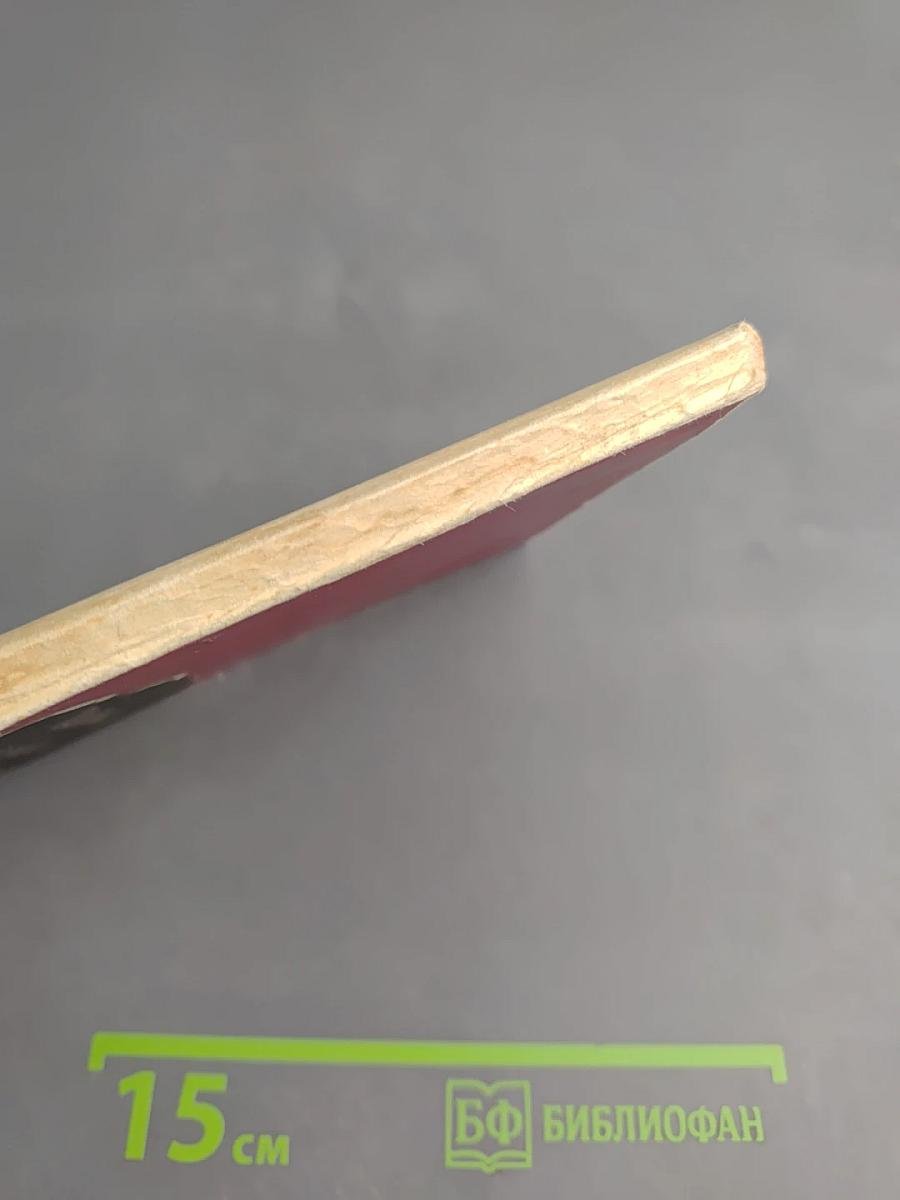 Тайные недуги католицизма