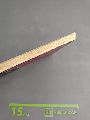 Тайные недуги католицизма