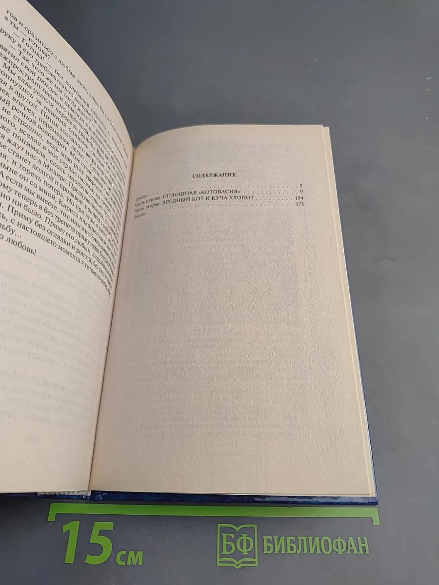 Суета вокруг Кота