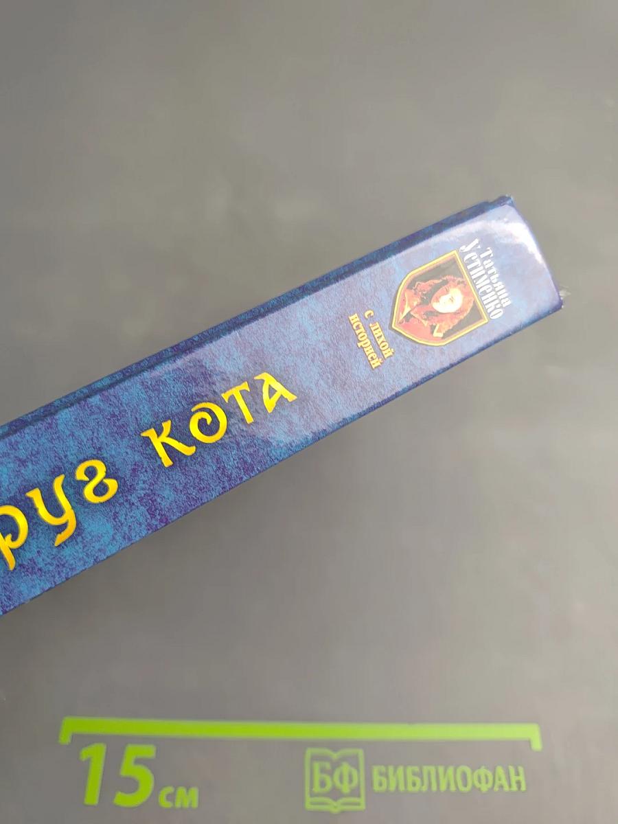 Суета вокруг Кота