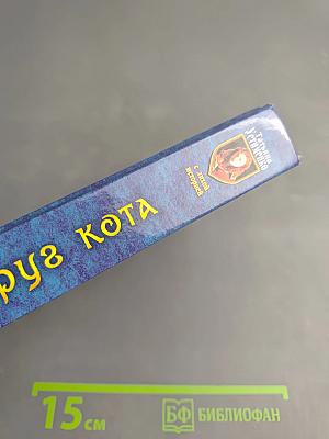 Суета вокруг Кота