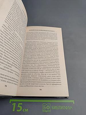 Черный гусар. Разведчик из будущего