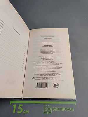 Черный гусар. Разведчик из будущего