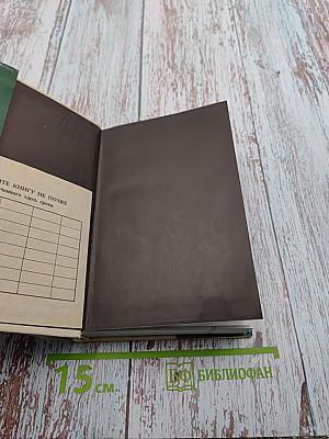 Мир как осуществление красоты