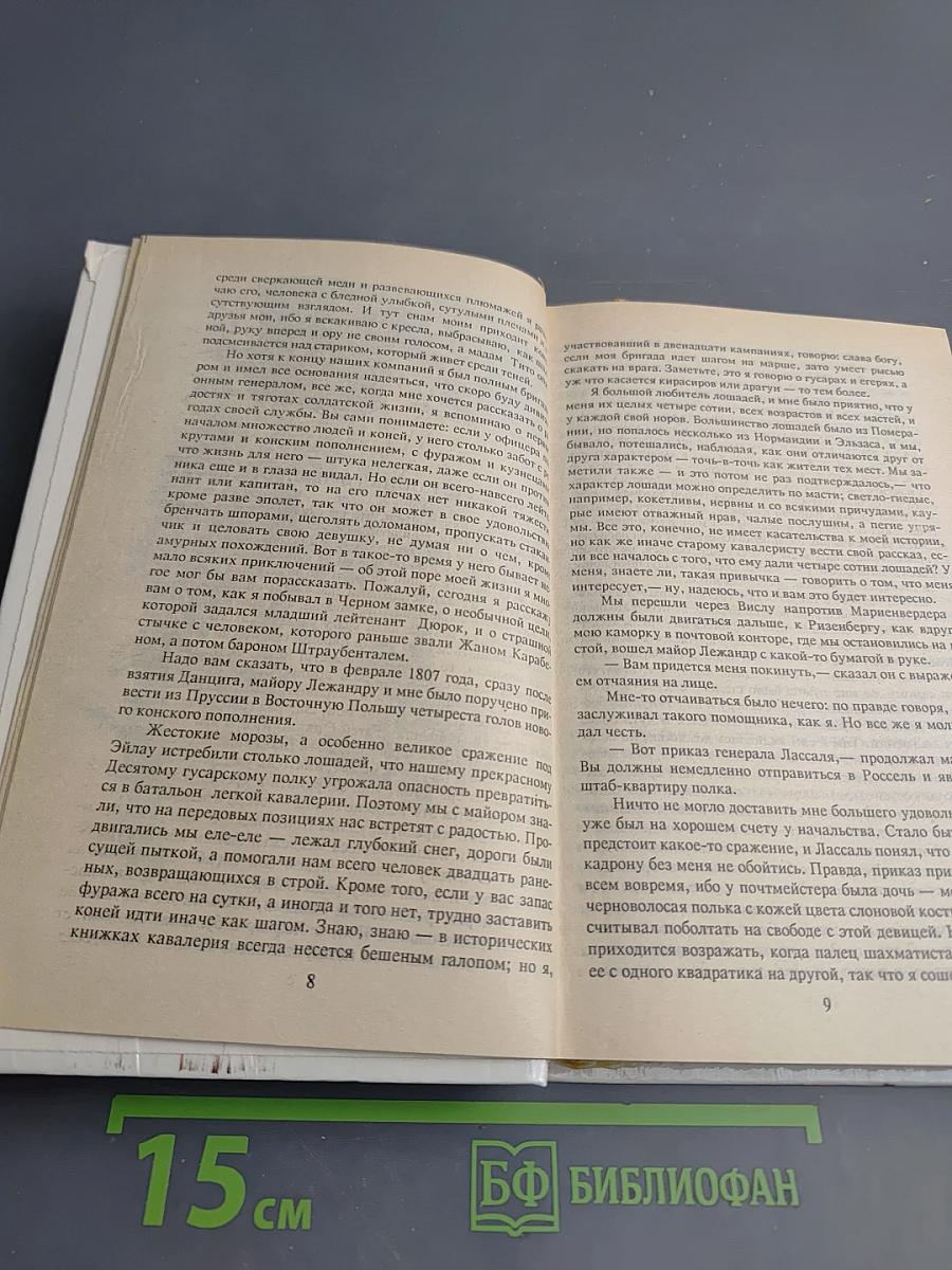 Подвиги и приключения бригадира Жерара