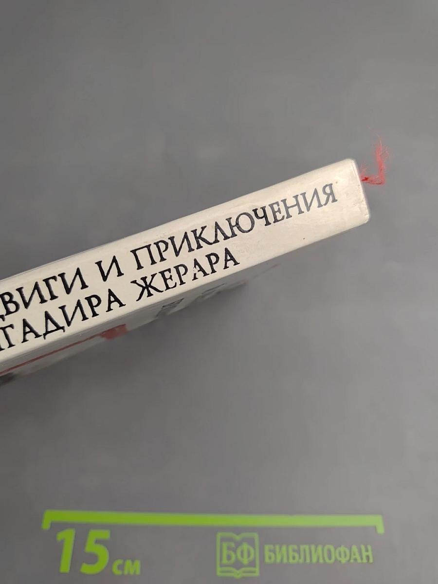 Подвиги и приключения бригадира Жерара