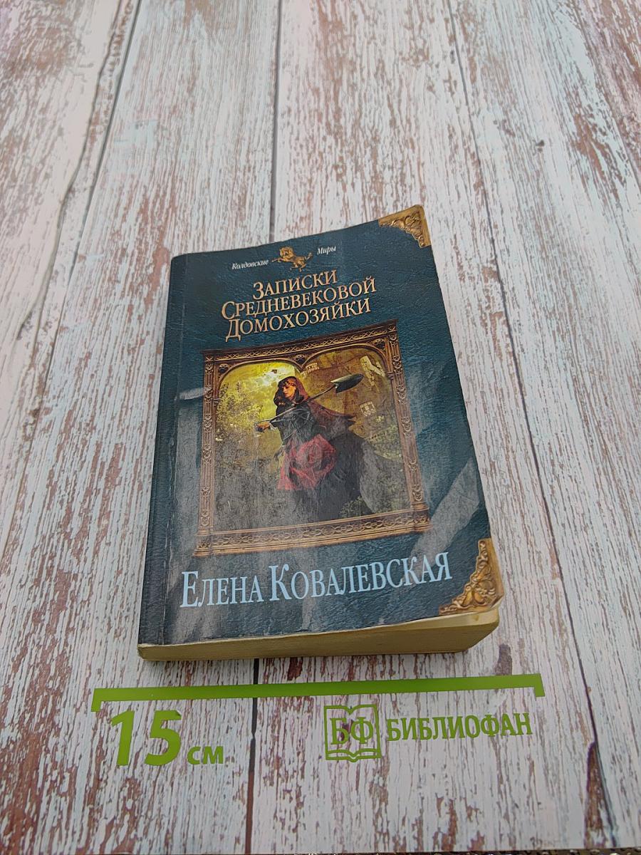 Записки средневековой домохозяйки