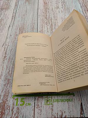 Записки средневековой домохозяйки