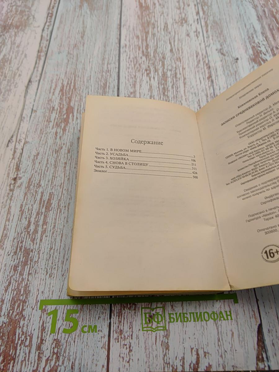 Записки средневековой домохозяйки