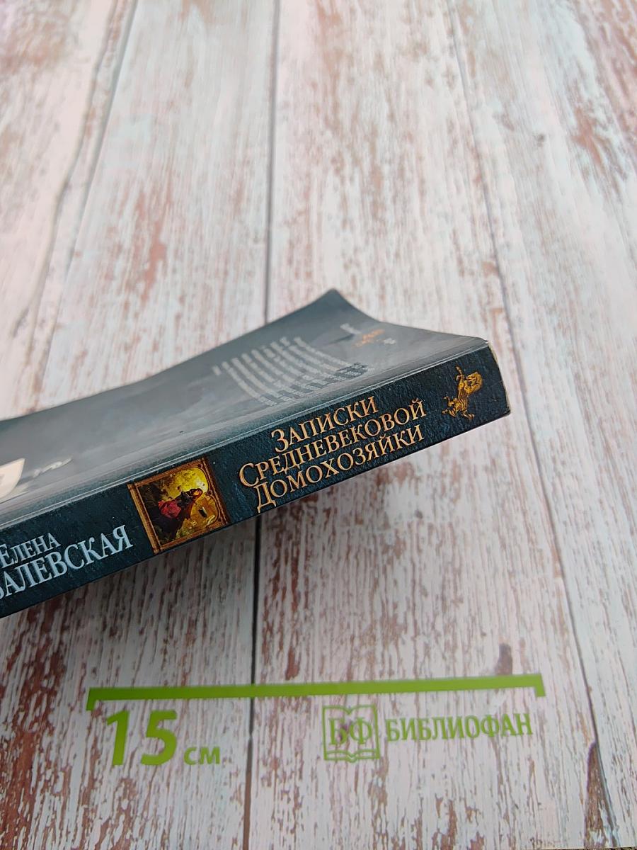 Записки средневековой домохозяйки