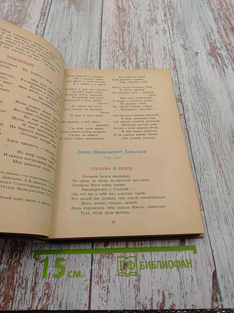 В мире русской литературы. Книга для внеклассного чтения. 6 класс