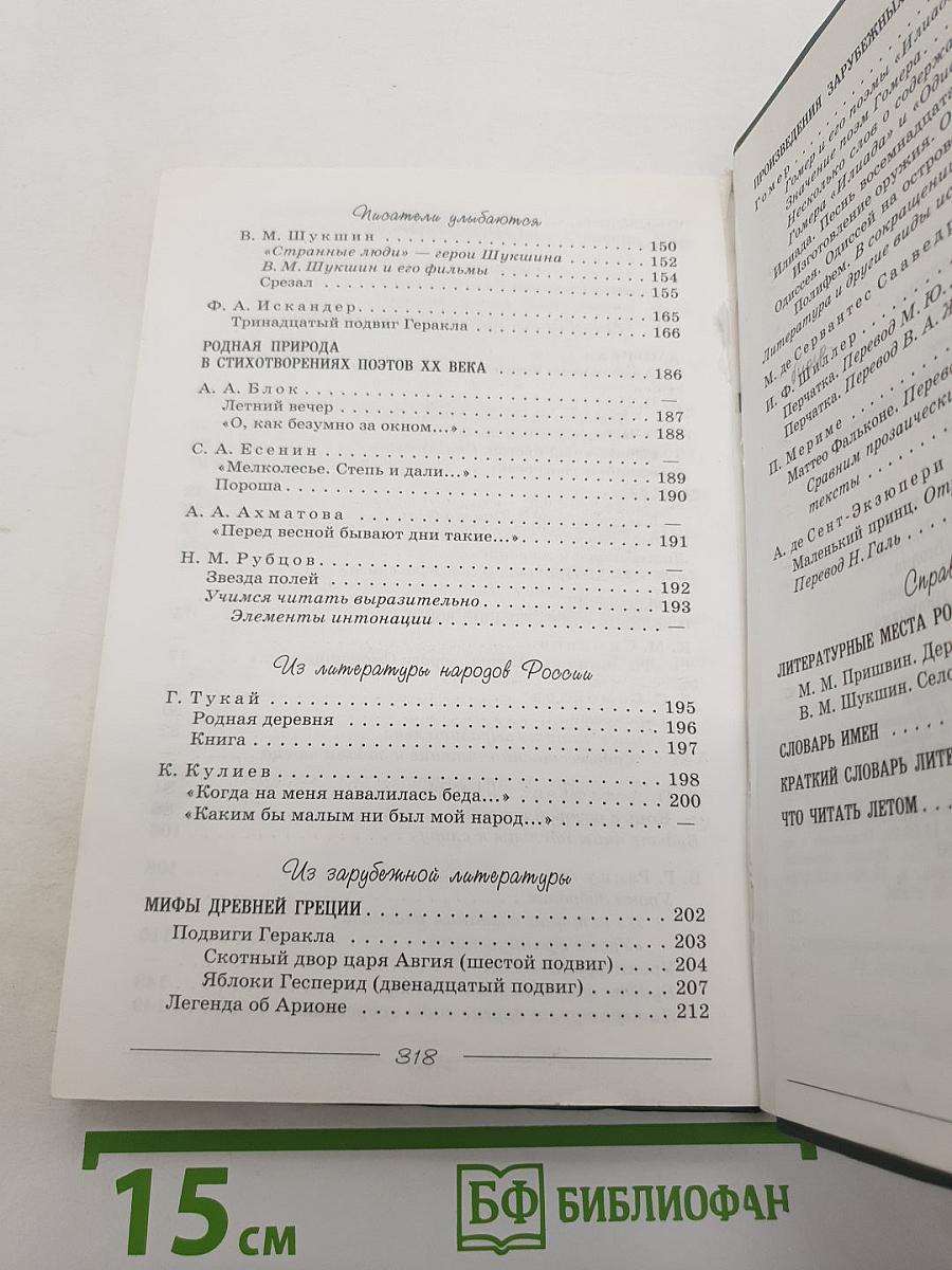 Литература. 6 класс. Часть 2