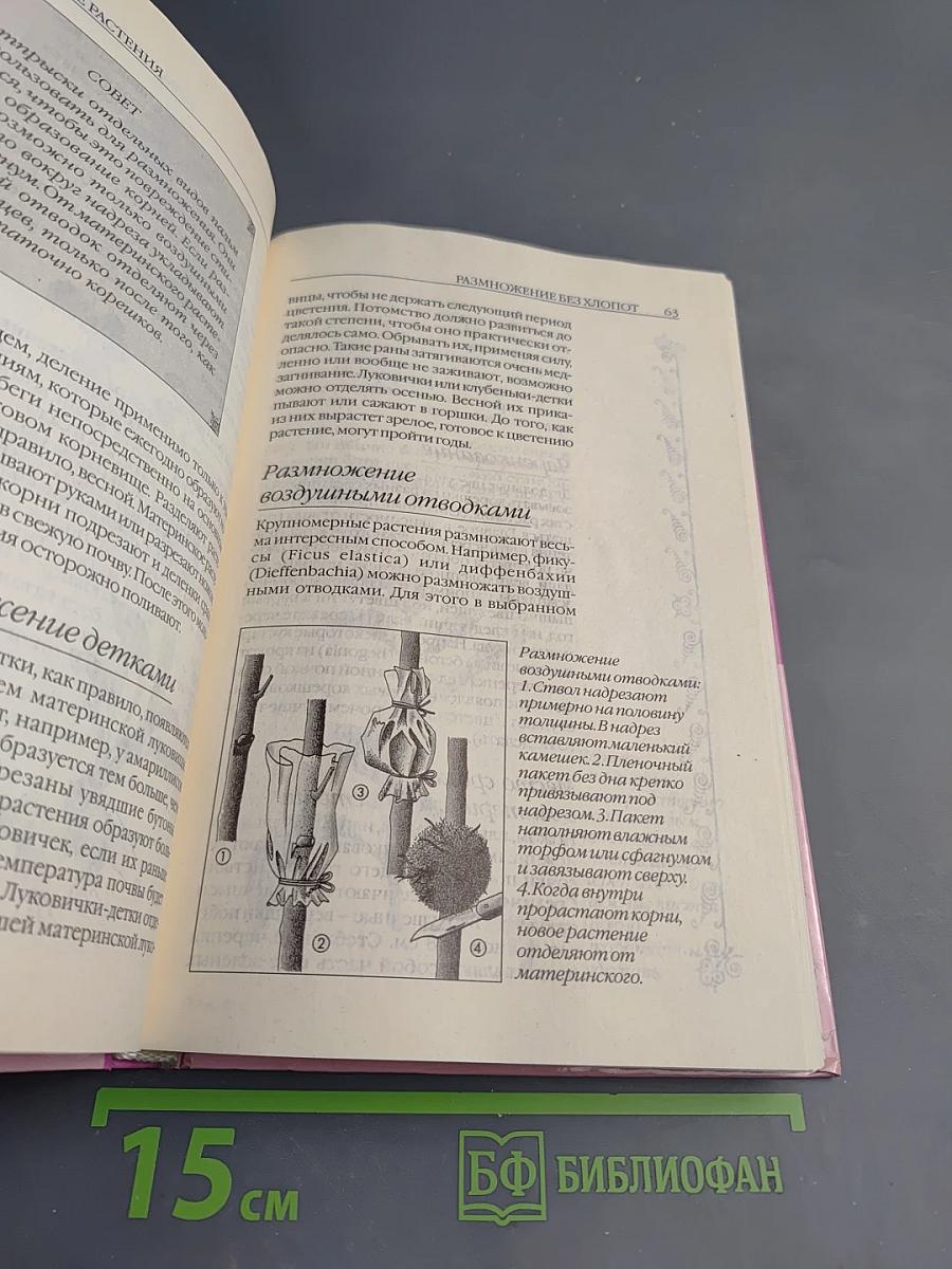 Комнатные растения