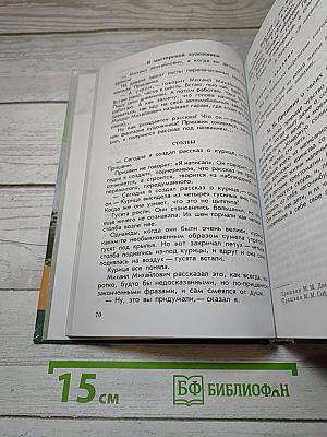 Литература. 6 класс. Учебник-хрестоматия. Часть 2