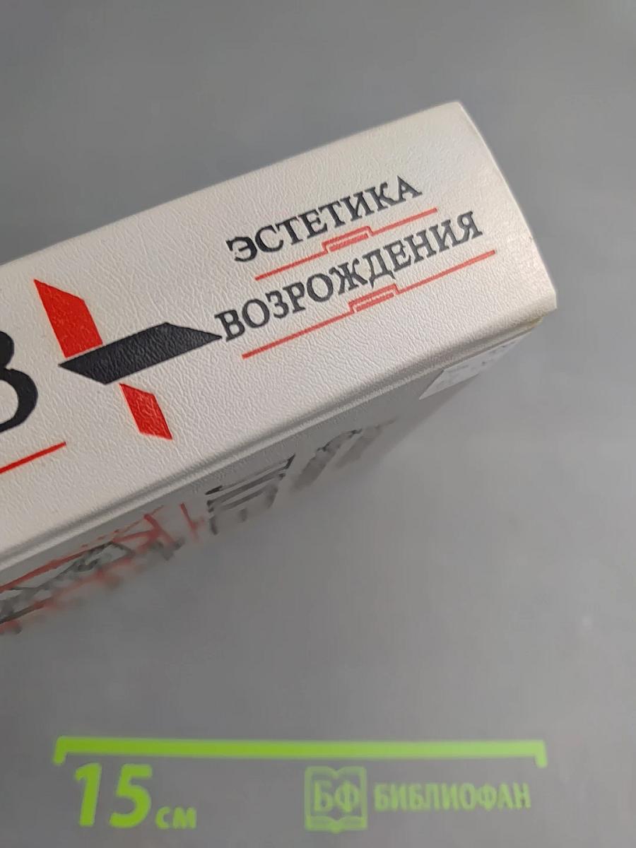 Эстетика Возрождения. Исторический смысл эстетики Возрождения