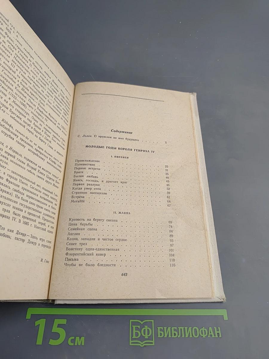 Молодые годы короля Генриха IV