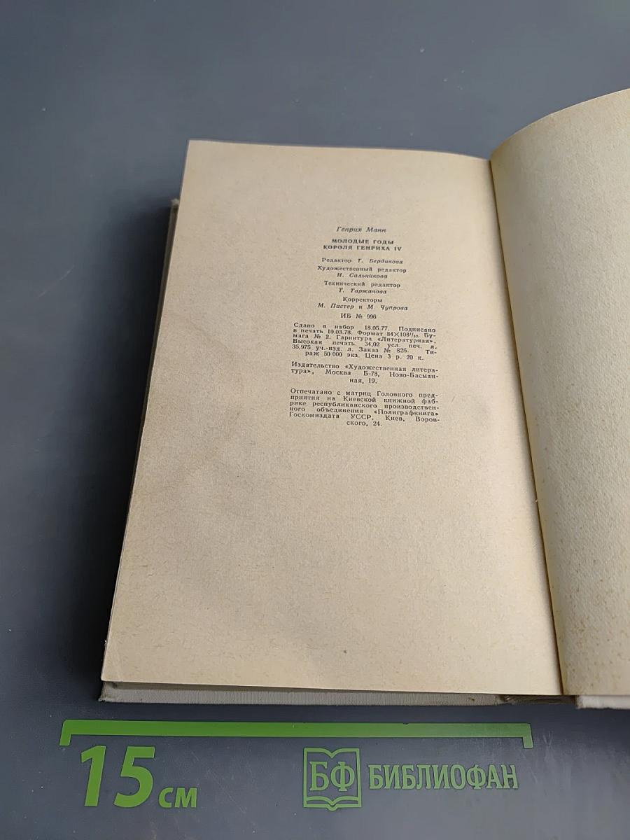 Молодые годы короля Генриха IV