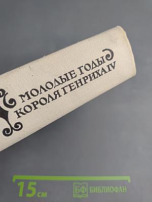 Молодые годы короля Генриха IV