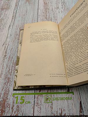 Память. Роман-эссе. Книга вторая