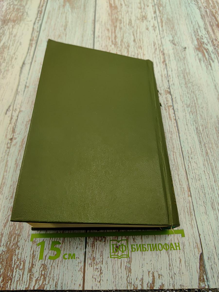 Память. Роман-эссе. Книга вторая