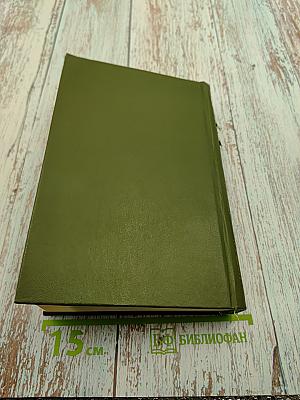 Память. Роман-эссе. Книга вторая