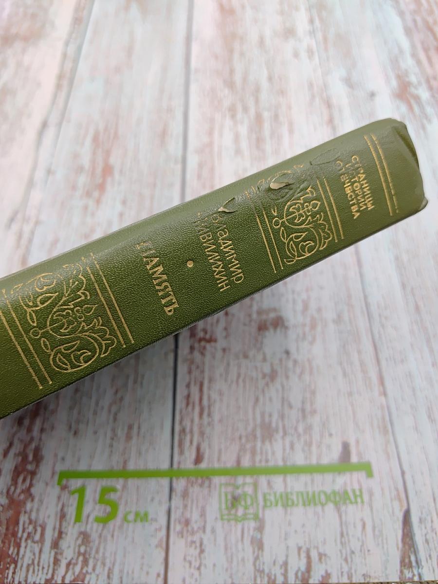 Память. Роман-эссе. Книга вторая