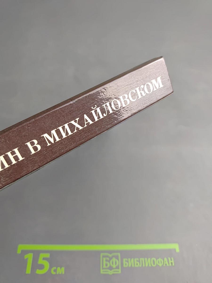 Пушкин в Михайловском