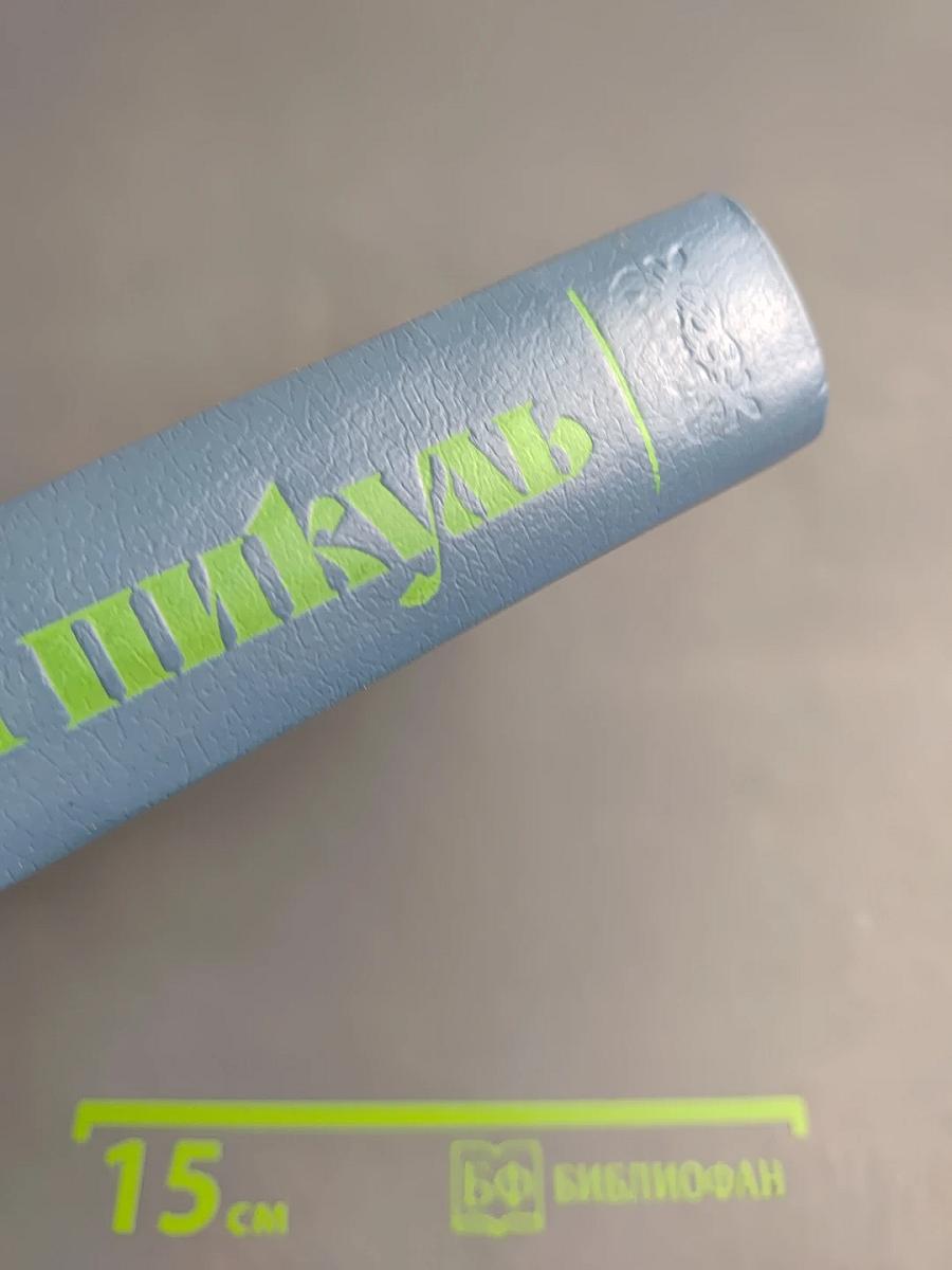 Слово и дело. Мои любезные конфиденты. Книга вторая