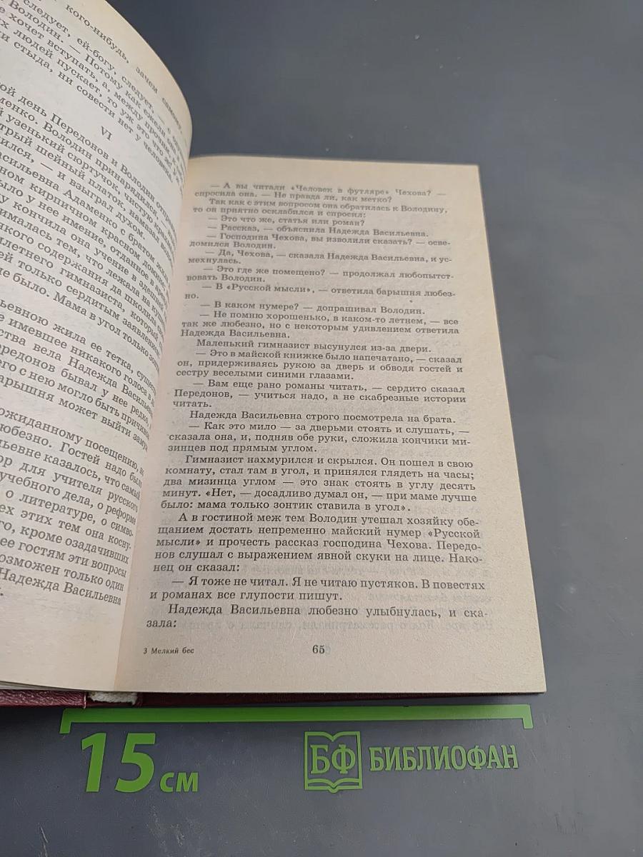 Мелкий бес. Стихотворения. Рассказы. Сказочки. Книга для ученика и учителя