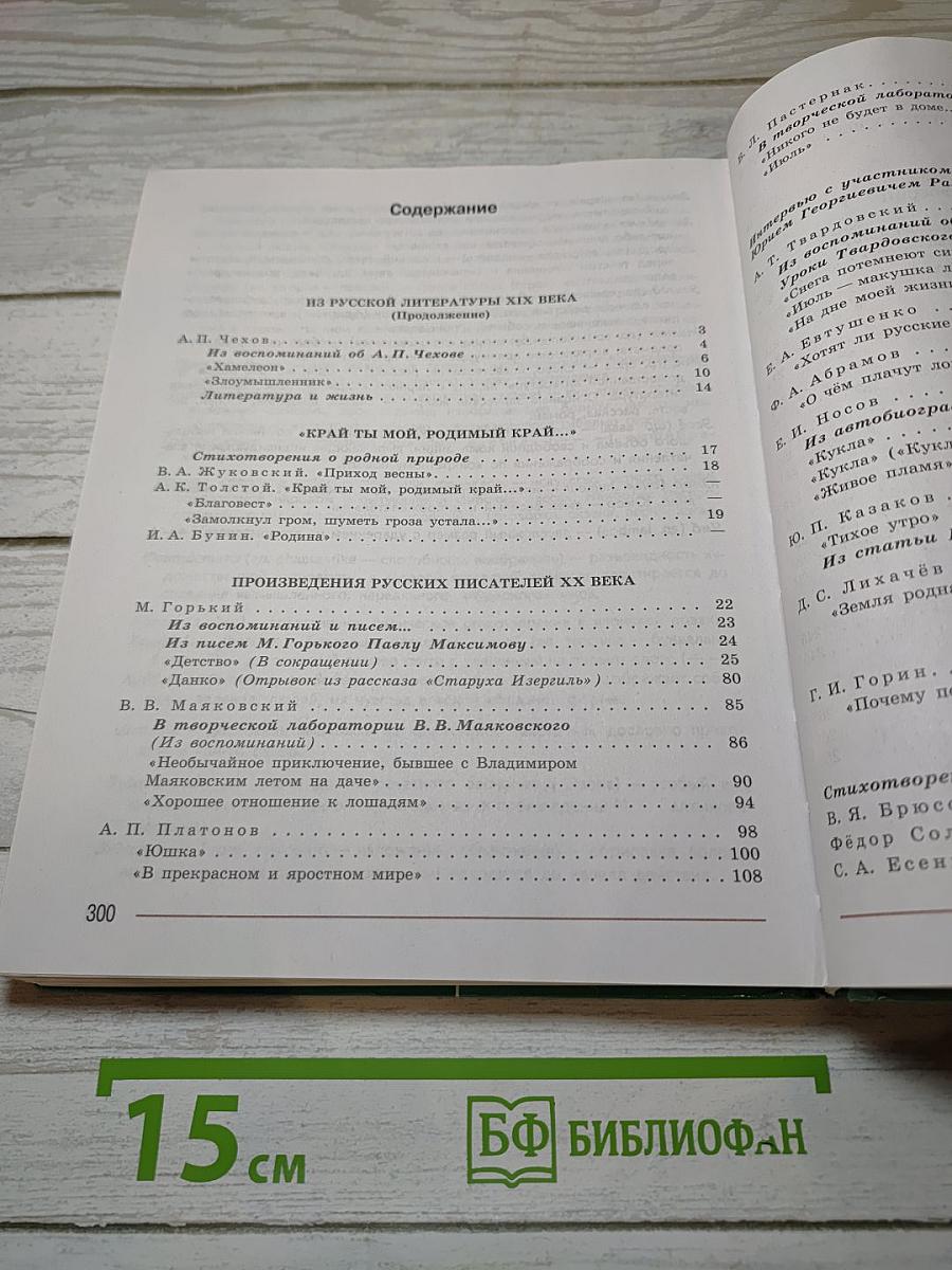 Литература. 7 класс. Часть 2