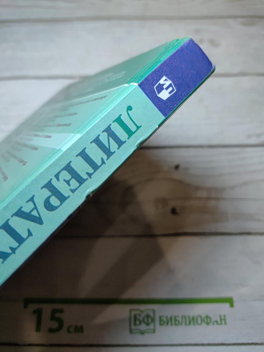 Литература. 7 класс. Часть 2
