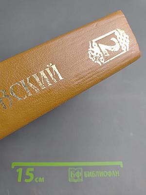 Петербургские трущобы. Книга о сытых и голодных. Книга вторая. Части четвертая - шестая