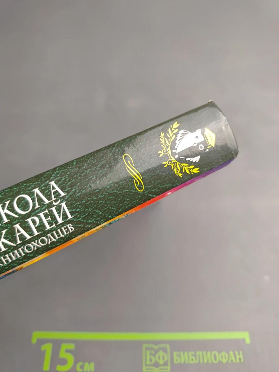 Высшая школа библиотекарей. Боевая практика книгоходцев