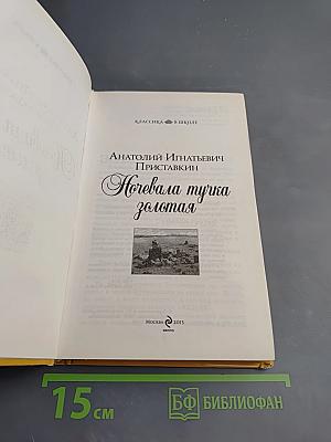 Ночевала тучка золотая